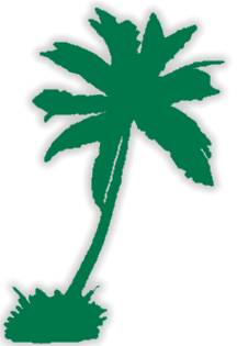 Tree image